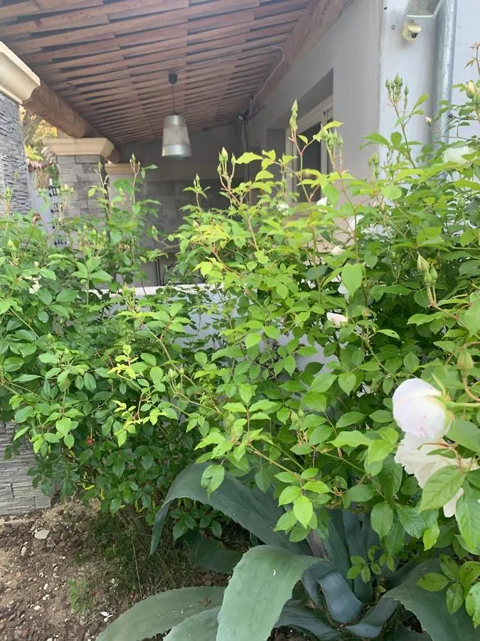 Guest house Studio Isabelle Hotel Carpentras